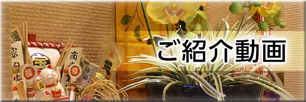 ご紹介動画